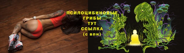 мяу мяу мука Алзамай