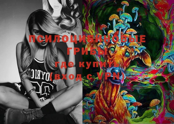 герыч Алексин