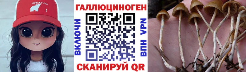 kraken ССЫЛКА Керчь Псилоцибиновые грибы MAGIC MUSHROOMS наркотики
